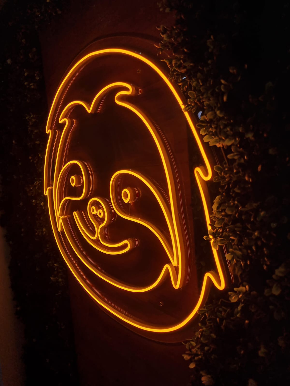 Rótulo Neon Flex